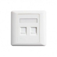 Belden AX104442 Dual Port Face Plate 