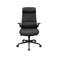 Cougar Stryder Black Ergonomic Gaming Chair