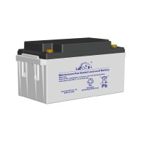 Leoch 65AH UPS Battery