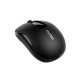 Rapoo M10 wireless optical mouse