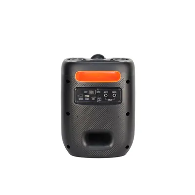 Microlab PT601W Portable Wireless Bluetooth Party Speaker image of Microlab PT601W Portable Wireless Bluetooth Party Speaker with Spec and Price in BDT